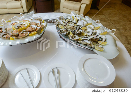 Fresh open oyster on a white plate. in the restaurant appetizer Fresh open oyster on a white plate. in the restaurant appetizer 61248380