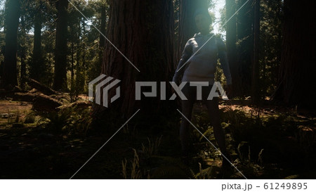 Woman in Yosimite national park near sequoia Woman in Yosimite national park near sequoia 61249895