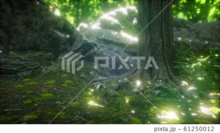 Morning In The Misty Spring Forest With Sun Raysのイラスト素材