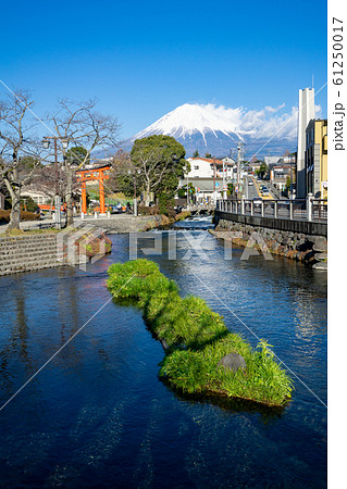 神田川より富士山、浅間大社を望む＜静岡県富士宮市2019年12月＞ 61250017