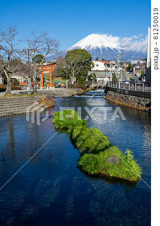 神田川より富士山、浅間大社を望む＜静岡県富士宮市2019年12月＞ 61250019