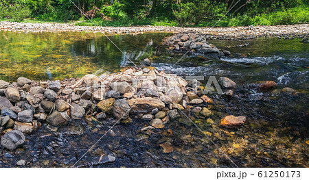 Mountain stream in a forest Mountain stream in a forest 61250173