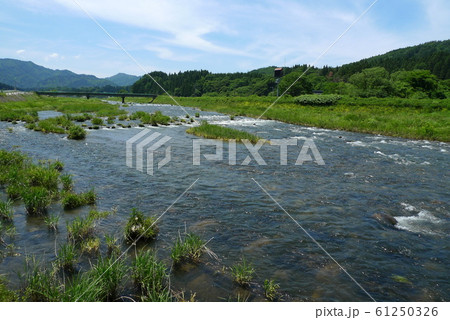 荒川水系大石川【新潟県関川村】 61250326