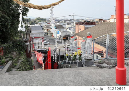 八坂神社（鹿児島県出水市麓町）から見る出水市の街並み 61250645
