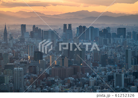 《東京都》東京都市夕景 《東京都》東京都市夕景 61252326