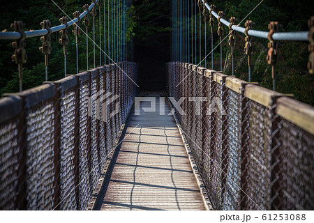 回顧の吊橋 回顧の吊橋 61253088