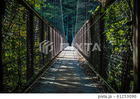 回顧の吊橋 回顧の吊橋 61253090
