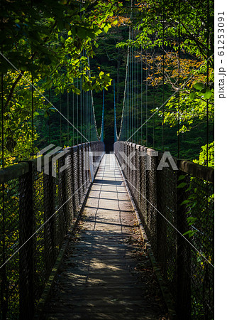 回顧の吊橋 61253091