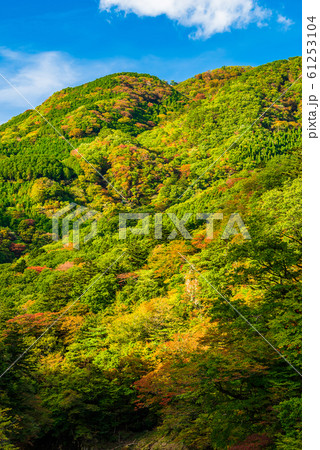 那須の紅葉 61253104