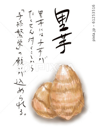 里芋言葉付き　D手描き 61253516