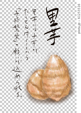 里芋言葉付き　D手描き 61253516