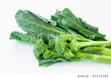 アレッタとスティックセニョール 61254169