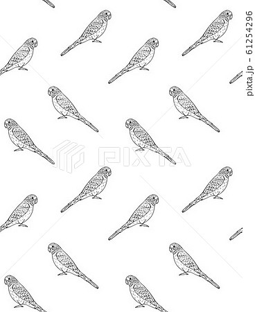 Vector seamless pattern of hand drawn budgie 61254296