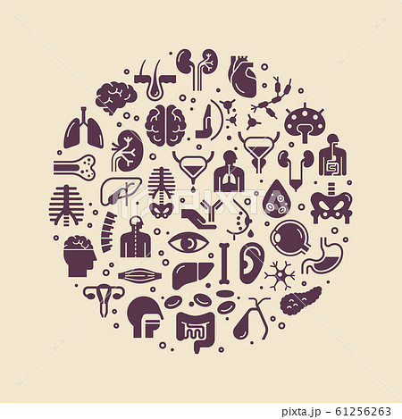 Circular template of linear vector icons of human Circular template of linear vector icons of human 61256263