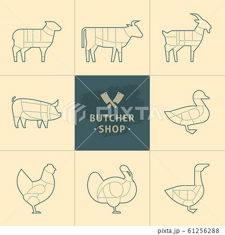 Set a schematic view of animals for the butcher 61256288
