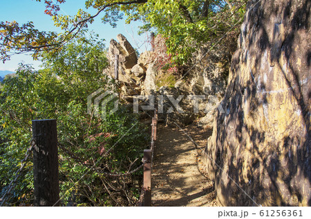紅葉の天覧山 岩場 紅葉の天覧山 岩場 61256361