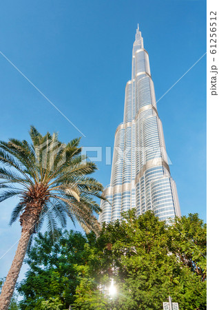 Burj Khalifa, palm tree and blue sky Burj Khalifa, palm tree and blue sky 61256512