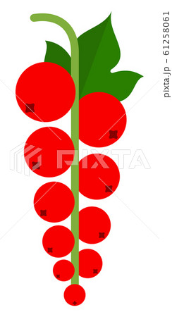 Red currants sprig vector icon flat isolated Red currants sprig vector icon flat isolated 61258061