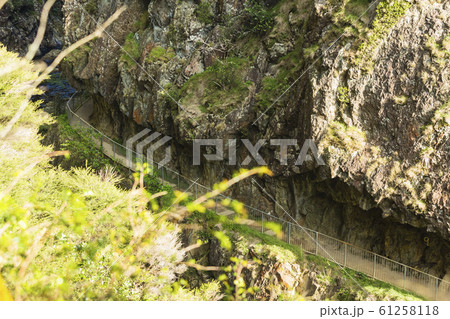 ニュージーランド　カランガハケ渓谷 61258118