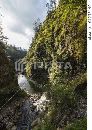 ニュージーランド　カランガハケ渓谷 61258140