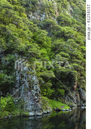 ニュージーランド　カランガハケ渓谷 61258157