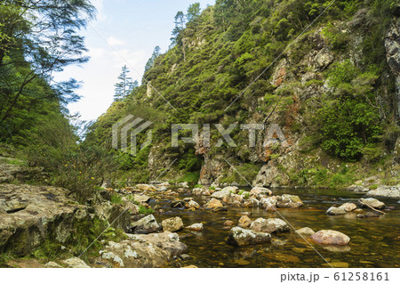 ニュージーランド　カランガハケ渓谷 61258161