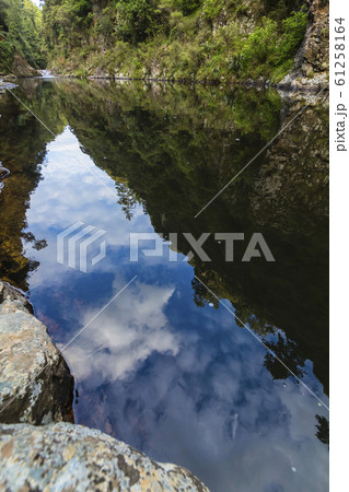 ニュージーランド　カランガハケ渓谷 61258164