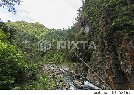ニュージーランド カランガハケ渓谷 ニュージーランド カランガハケ渓谷 61258167