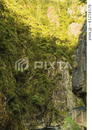 ニュージーランド カランガハケ渓谷 ニュージーランド カランガハケ渓谷 61258176