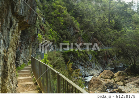 ニュージーランド カランガハケ渓谷 ニュージーランド カランガハケ渓谷 61258179