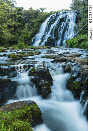ニュージーランド　カランガハケ渓谷　オファロア滝 61258554