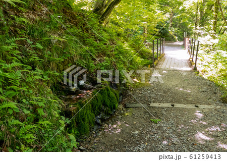 抱返渓谷 秋田県仙北市 新緑の遊歩道と湧き水の水飲み場 春 昼間 横 61259413