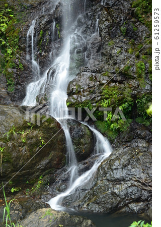 美しい自然の景色 61259573