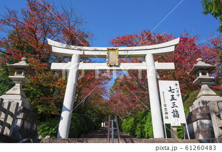 京都　宗忠神社（むねただじんじゃ）の紅葉 61260483