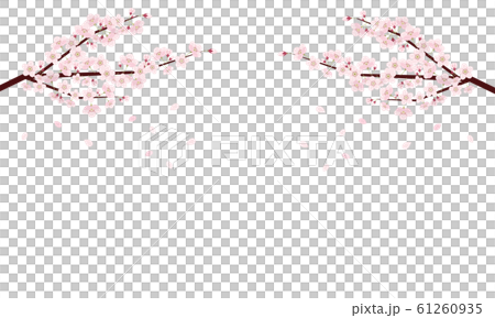 桜 木 枝 桜 木 枝 61260935