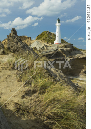 ニュージーランド　キャッスルポイント　灯台 61261182