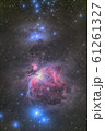オリオン大星雲M42 61261327