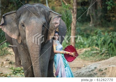 Thai girl with elephant Thai girl with elephant 61262770