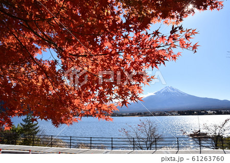 紅葉 河口湖 富士山 61263760