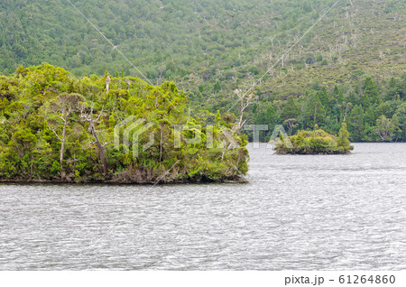 Dove Lake - Cradle Mountain Dove Lake - Cradle Mountain 61264860