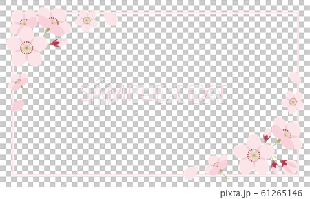 桜　フレーム　さくら 61265146