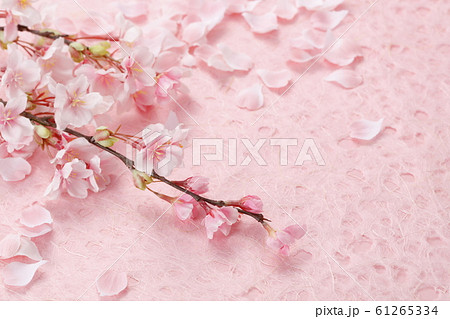 桜　スタジオ撮影 61265334