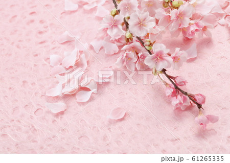 桜　スタジオ撮影 61265335