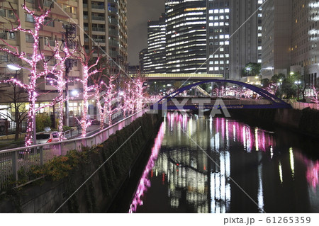 目黒川のイルミネーション　鈴懸歩道橋 61265359