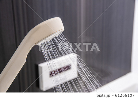 シャワー シャワー 61266107