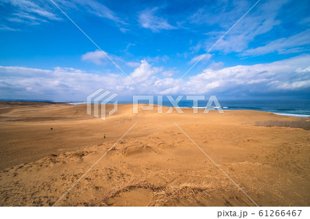 鳥取砂丘 鳥取砂丘 61266467