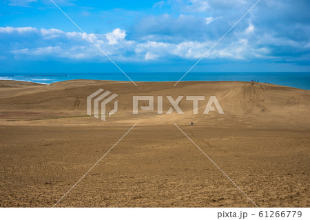 鳥取砂丘 61266779