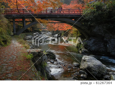 日本有数の紅葉の名所：京都嵯峨の清滝 61267364