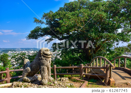 富盛の石彫大獅子 61267745