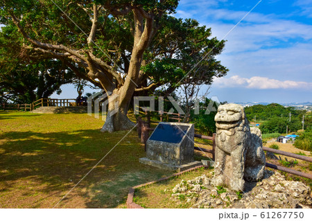 富盛の石彫大獅子 61267750